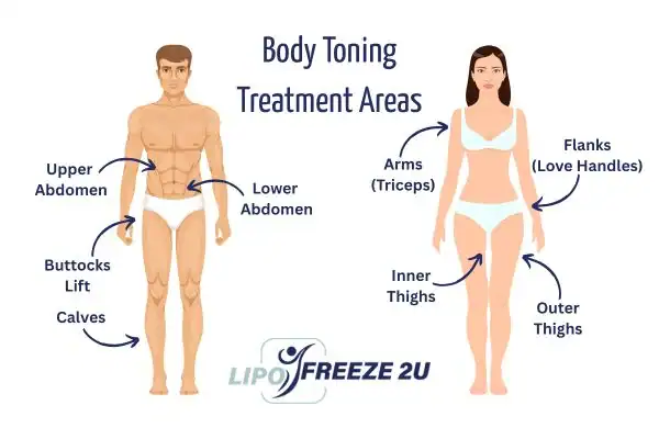 Graphic showing where you can have Body toning Treatment Borehamwood on your body